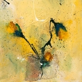 Blüten I © PGM, Deutschland