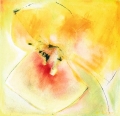 Yellow Bloom © PGM, Deutschland