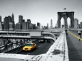 Yellow Cab © PGM, Deutschland