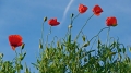 Up, up and away © PGM, Deutschland