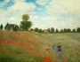 Mohnfeld bei Argenteuil © PGM, Deutschland