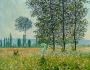 Felder im Frühling © PGM, Deutschland