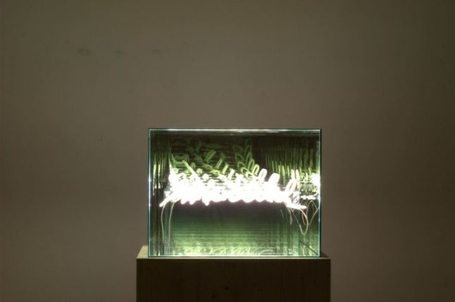 Brigitte Kowanz Mental-Medial, 2007 Mischtechnik 60 x 80 60 cm © Sammlung BA-CA