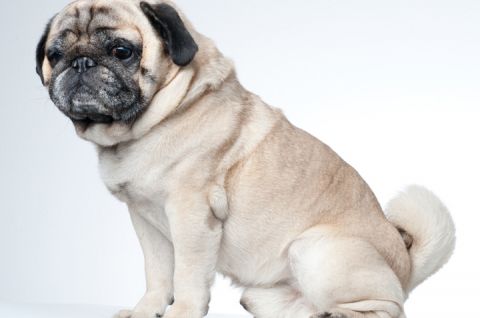 Xaver © Bank Austria Kunstforum