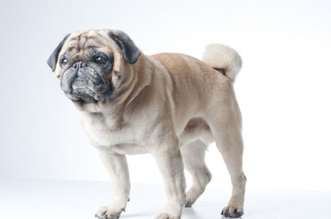 Xaver © Bank Austria Kunstforum