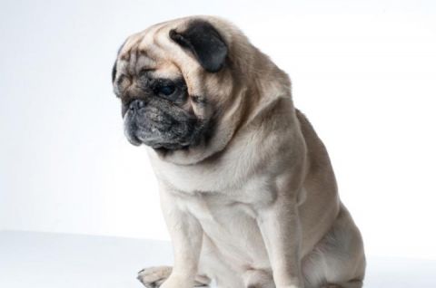 Xaver © Bank Austria Kunstforum