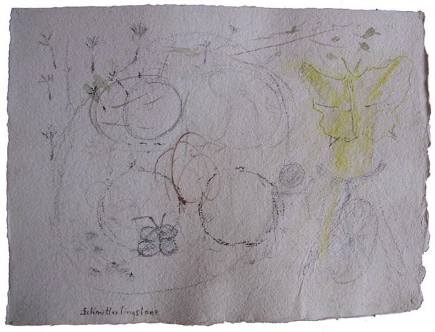 Koller Bernd, Schmetterlingstanz, 2006 © Courtesy of the Artist